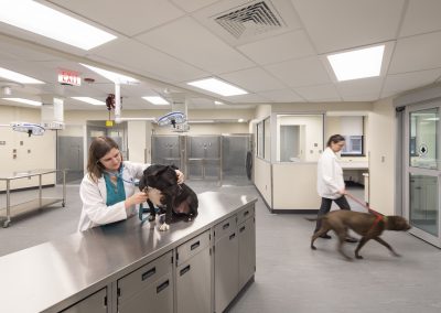 University of Pennsylvania – Ryan Veterinary Hospital Trauma Center